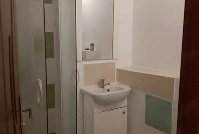 Garsonieră decomandată în Buziașului