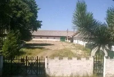 Casă cu 4 camere în Costâna