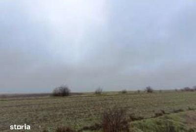 Teren de 6000 mp, în Ciocârlia - 1