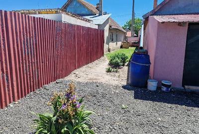 Casă cu 3 camere cu Teren 973 Mp în Pustiniș - 7