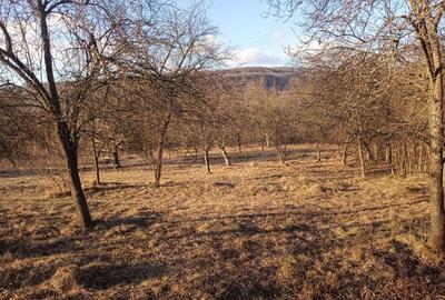 Teren de 4700 mp, în Vâlsănești - 2