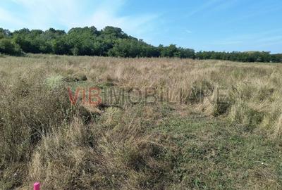 Teren intravilan de 7500 mp, în Central - 3