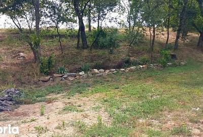 Teren de 5754 mp, în Ohaba Lungă - 4