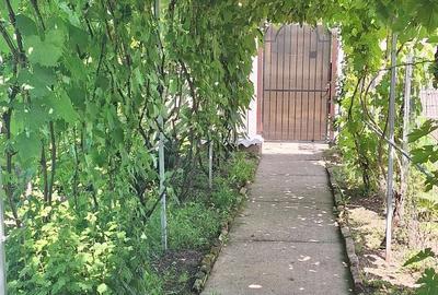 Casă cu 3 camere cu Teren 3400 Mp în Icoana