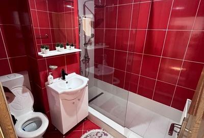 Apartament cu 2 camere decomandat în Berca