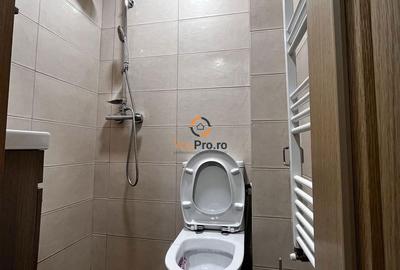Garsonieră, mobilată în Iosefin