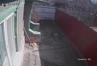 Casă cu Teren 1132 Mp în Central