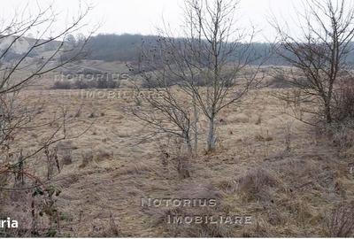 Teren de 1456 mp, în Central - 6