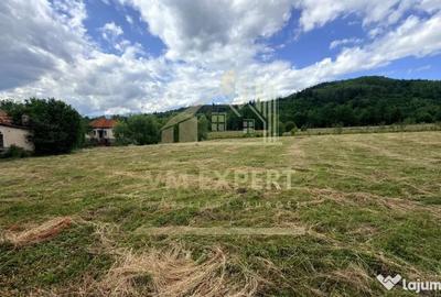 Casă cu 3 camere cu Teren 6997 Mp în Bughea de Sus - 8