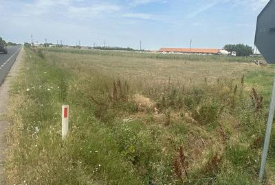 Teren de 2000 mp, în Măldăeni