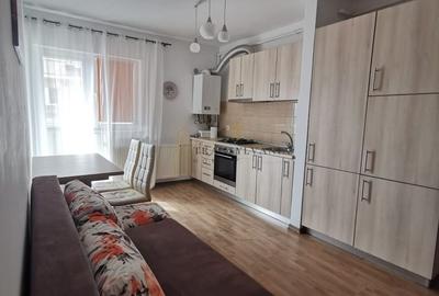 Apartament cu 2 camere semidecomandat, mobilat în Turnișor
