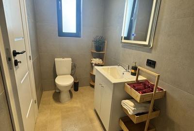 Casă cu 4 camere în Berceni