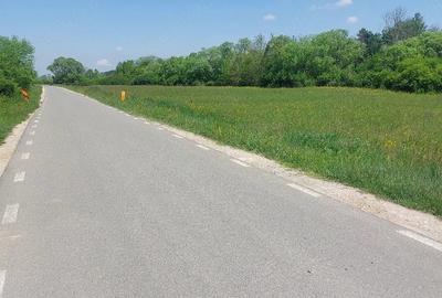 Teren de 8000 mp, în Felcheriu - 5
