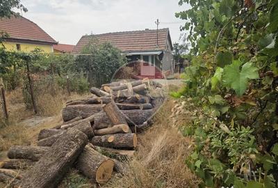Casă cu 4 camere cu Teren 3196 Mp în Mădăras