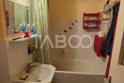 Apartament cu 2 camere semidecomandat, mobilat în Sebeș - 9