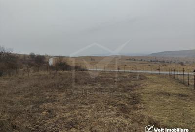 Teren Construcții intravilan de 1131 mp, în Chinteni - 4