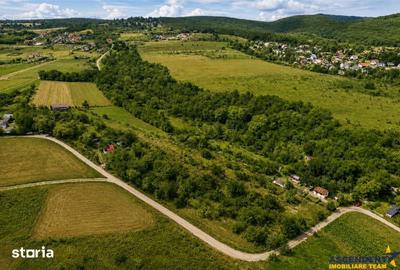 Teren de 4500 mp, în Ilieni