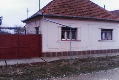 Casă cu 3 camere cu Teren 1800 Mp în Diosig - 3