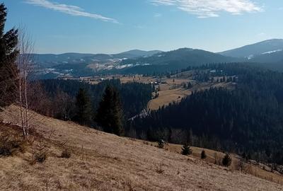 Teren de 1000 mp, în Arieșeni