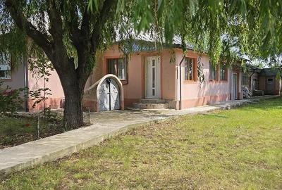 Casă cu 5 camere cu Teren 6000 Mp în Central - 4