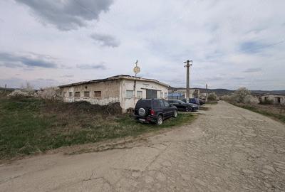 Teren de 9500 mp, în Central - 2