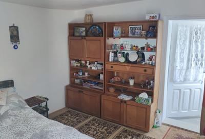 Casă individuală cu 2 camere cu Teren 2000 Mp în Davideni - 7