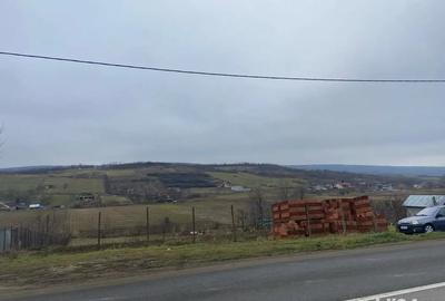 Teren de 4750 mp, în Chicerea - 10