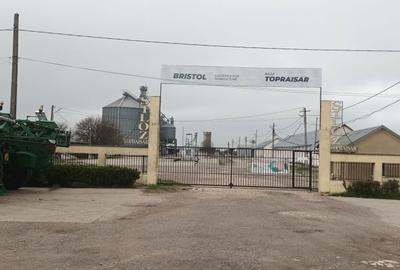 Spațiu comercial, în Topraisar - 8
