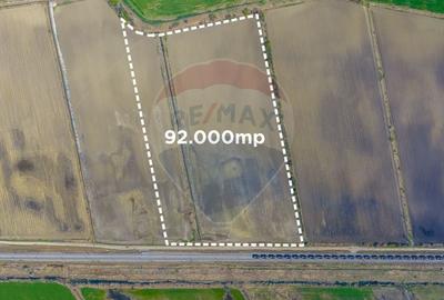 Teren agricol extravilan de 92000 mp, în Bod - 3