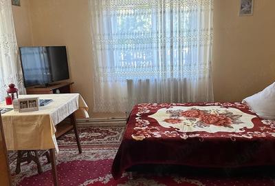 Casă cu 2 camere cu Teren 1400 Mp în Moțca - 6