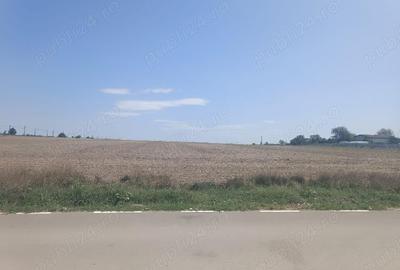 Teren de 6288 mp, în Domnești