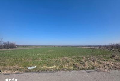 Teren de 3800 mp, în Mischii - 3