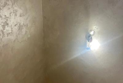 Casă cu Teren 150 Mp în Pipera
