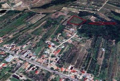 Teren de 6586 mp, în Voinești - 3