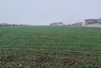 Teren de 10000 mp, în Ovidiu - 1