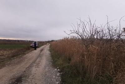 Teren agricol intravilan în Periferie - 4