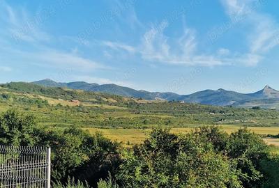 Teren de 1000 mp, în Șard - 2