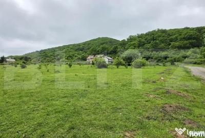 Teren de 1450 mp, în Central
