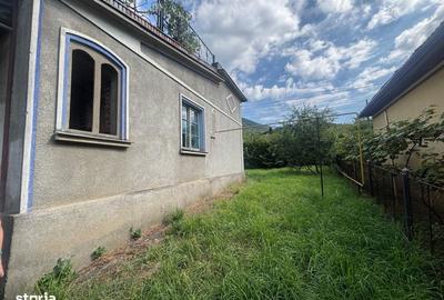 Casă cu 3 camere cu Teren 1108 Mp în Valea Borcutului - 3