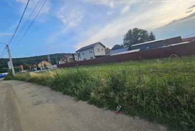 Spațiu comercial, în Gilău - 3