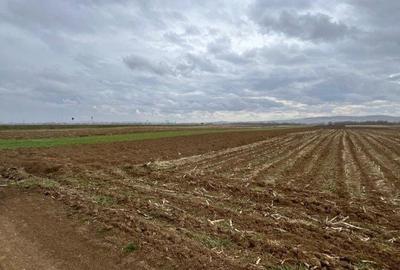 Teren de 2500 mp, în Hănțești - 7