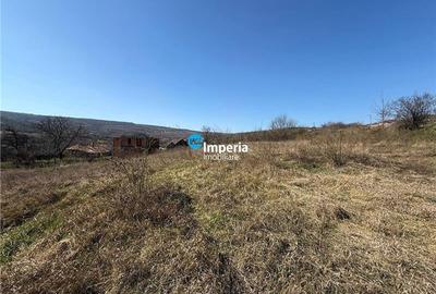 Teren Construcții intravilan de 500 mp, în Goruni - 5