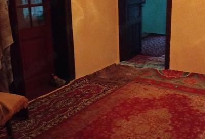 Casă cu Teren 2900 Mp în Izvoru (Gogoșari)