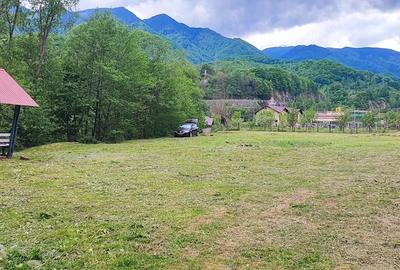 Teren de 5600 mp, în Malaia - 1