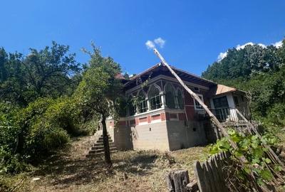 Teren de 21778 mp, în Șerbăneasa
