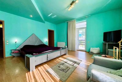 Casă individuală cu 10 camere cu Piscina în Malul Ursului - 15