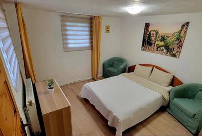 Casă cu 2 camere cu Teren 376 Mp în Podu Dâmboviței - 5