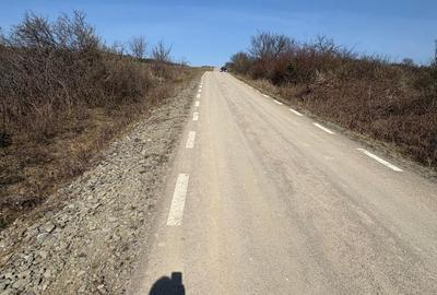 Teren Construcții intravilan de 5800 mp, în Crișeni - 7