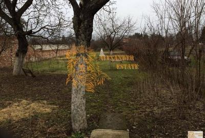 Casă cu 5 camere cu Canalizare în Central - 3