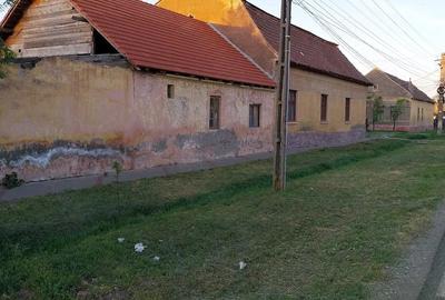 Casă cu Teren 2158 Mp în Comloșu Mare - 3